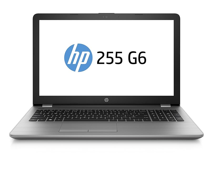 HP 255 G6 SP 2UC27ES 39,6 cm Laptop grau: Amazon.de